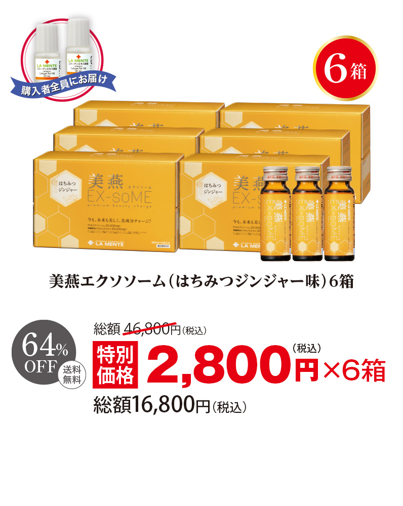 美燕エクソソーム(はちみつジンジャー味)6箱