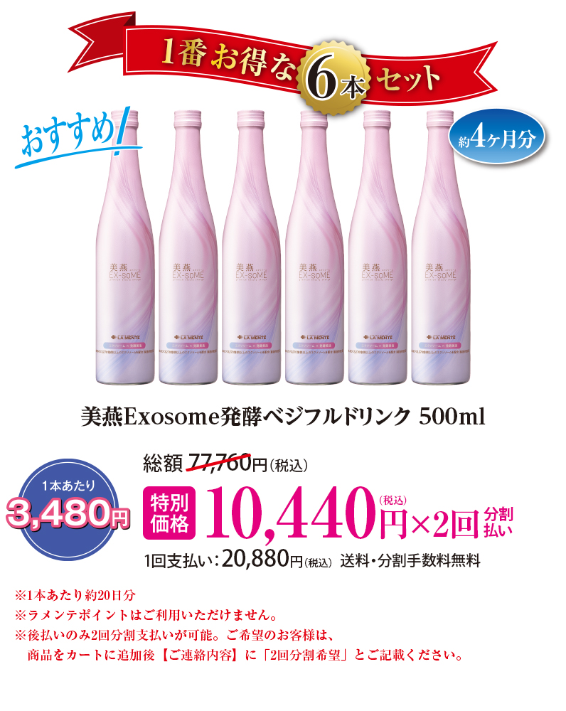 美燕エクソソーム発酵ベジフルドリンク