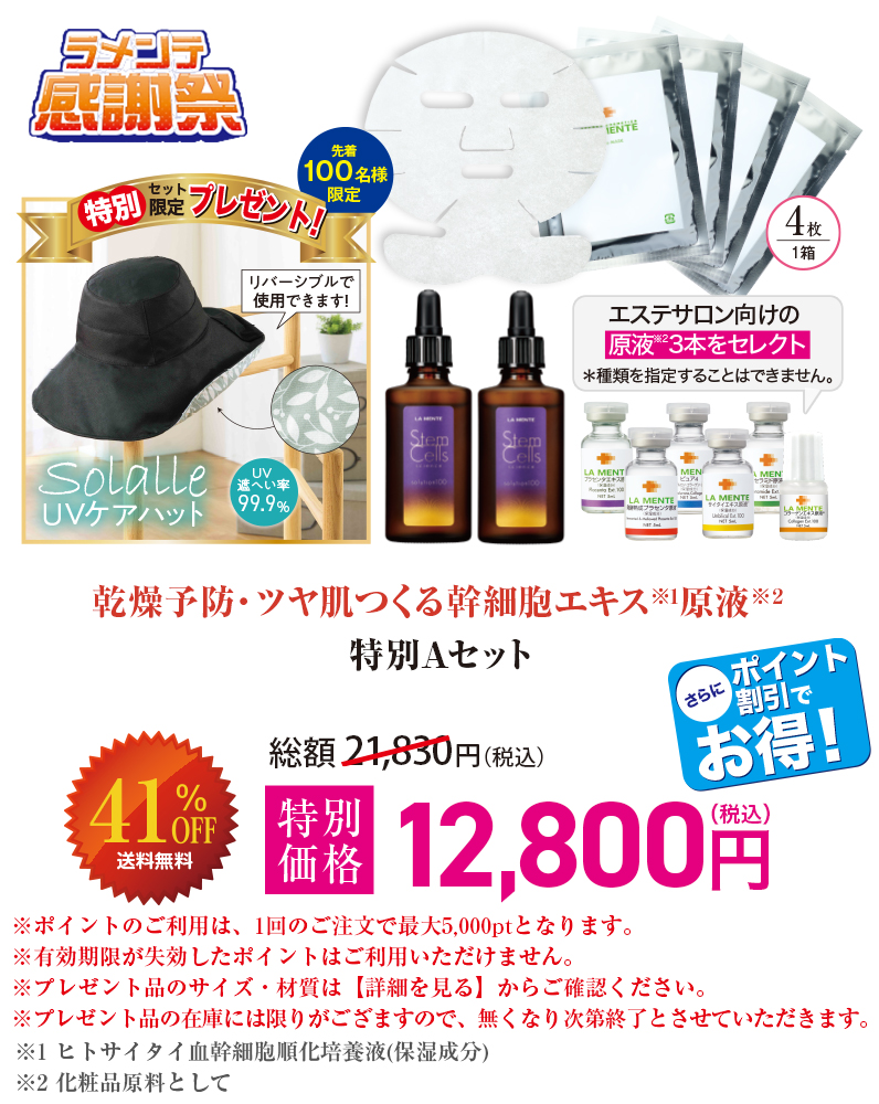 特別Aセット