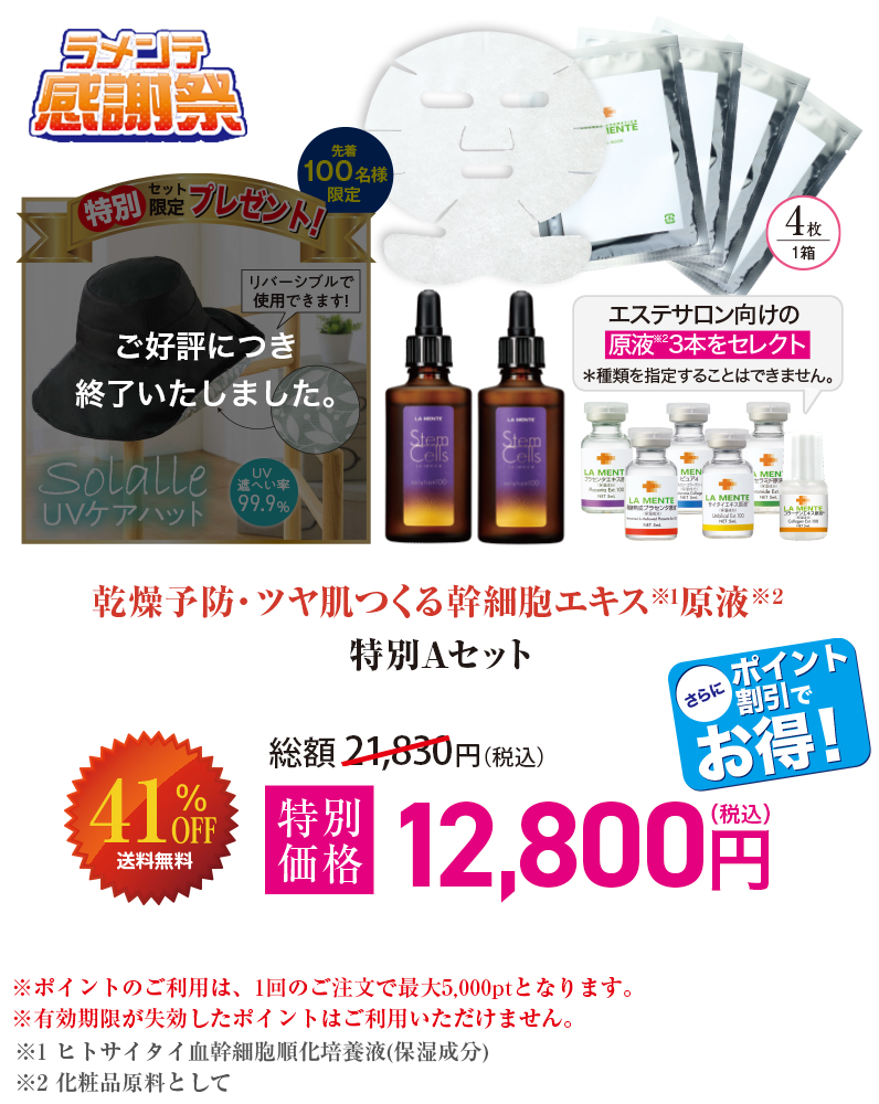 特別Aセット