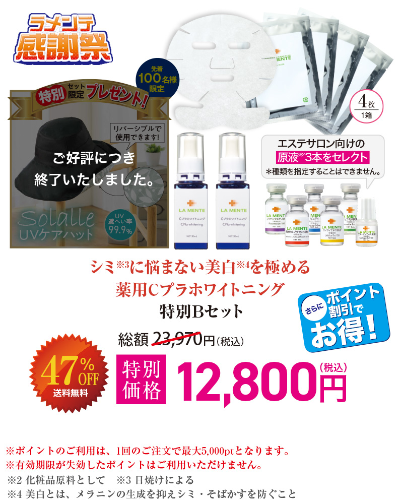 特別Bセット